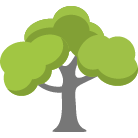 Metairie Tree Trimming