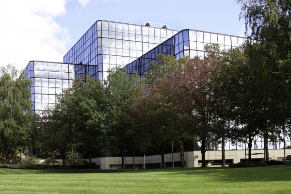 Commercial Tree Trimming in Metairie