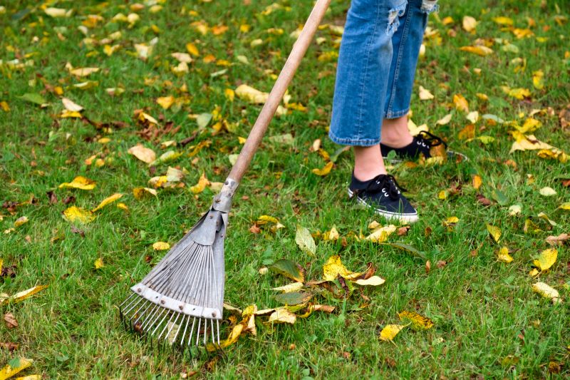 Leaf Raking Technique