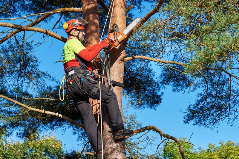 Safety Tree Pruning